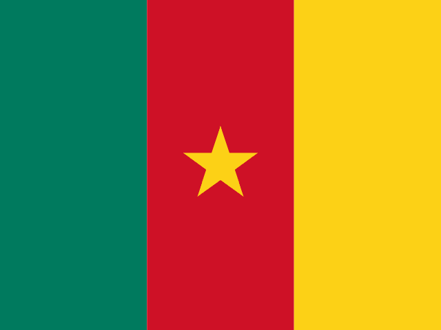 Cameroon flag