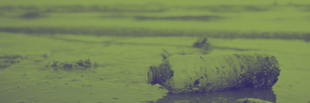 environmental pollution