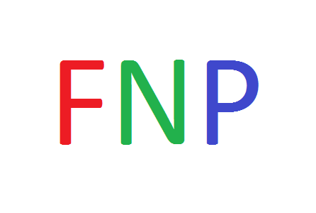 FNP-FNS Workshop