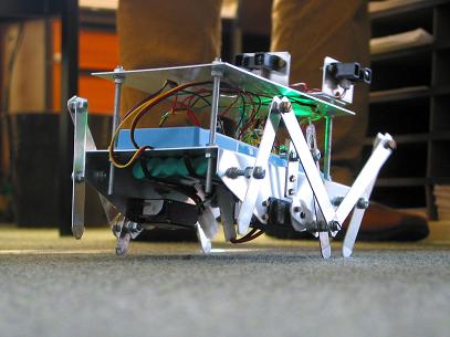 Photo of robotic spider