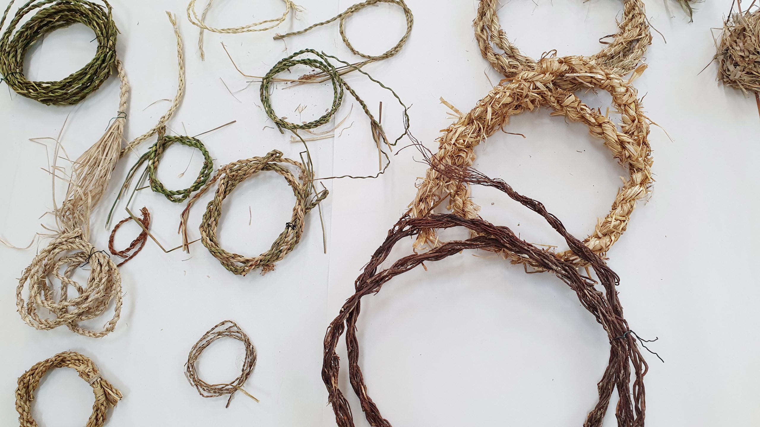 a selection of cordage made with different plant fibres. Different colours and thicknesses