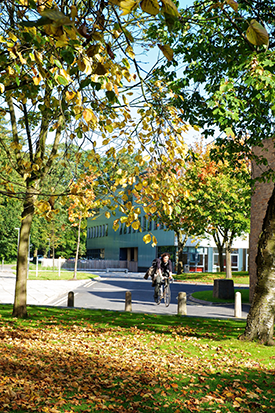 outside-campus-bike-275