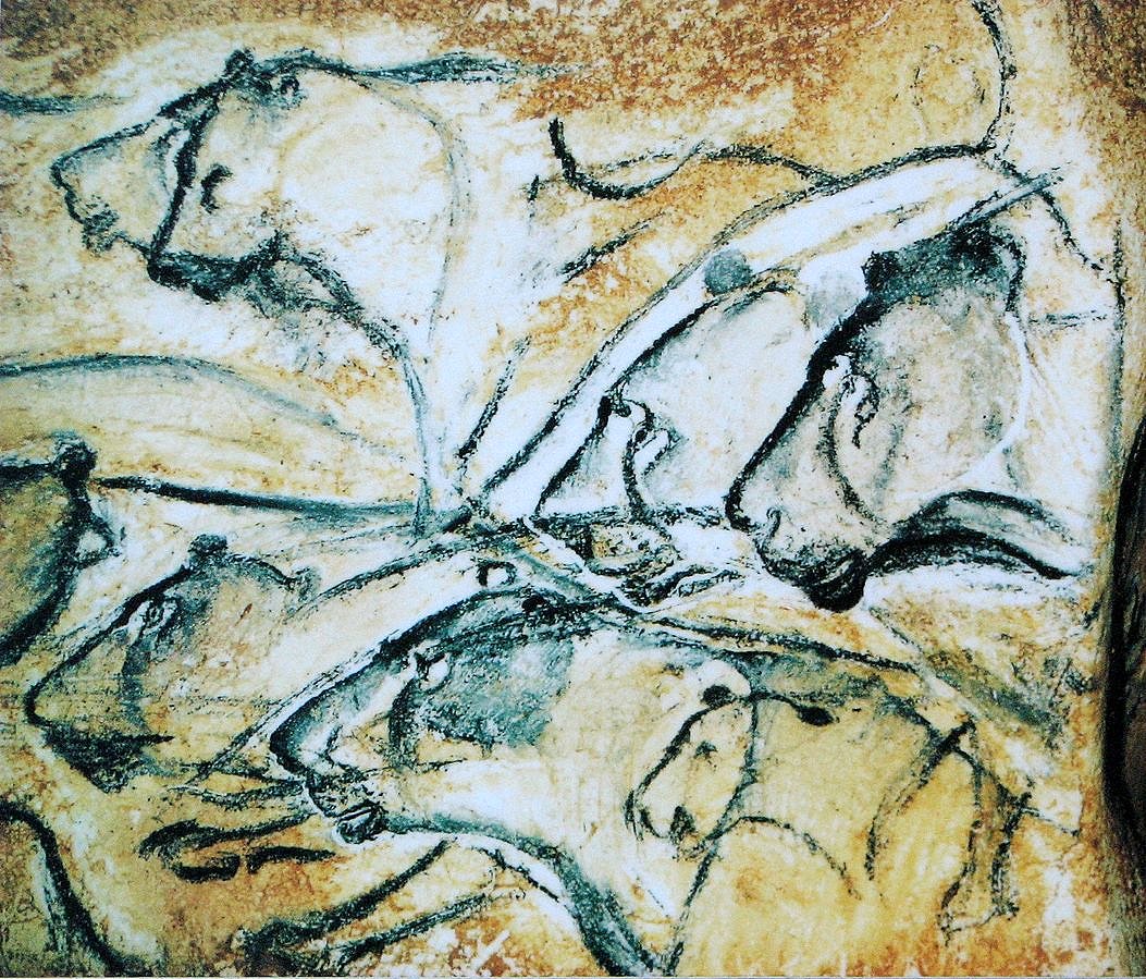 Photo of a detail from a replica of the Chauvet cave paintings, depicting multiple overlaying profiles of lions (black lines, ochre background).