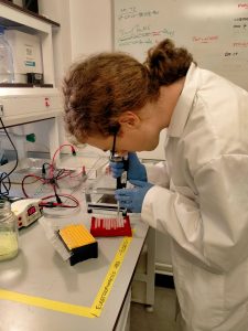 Ben Wilkenson doing lab work on the bench.