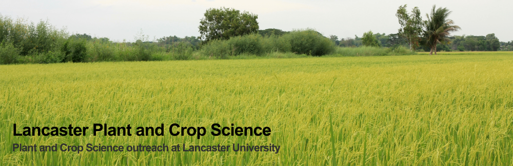 Lancaster Plant and Crop Science