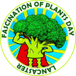 A cartoon of a broccoli showing muscle and wearing a red superhero cape. Text around it reads Fascination of Plants Lancaster. 