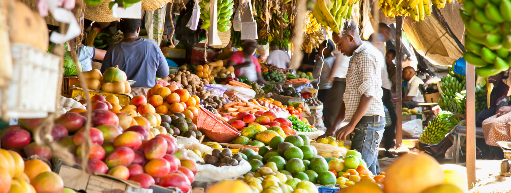 An image of a busy African market. There are a variety of colourful fruit on sale and several customers inspecting the goods on display.