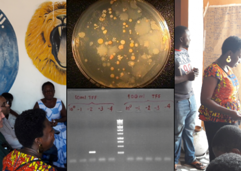 Microbiology meets social science,