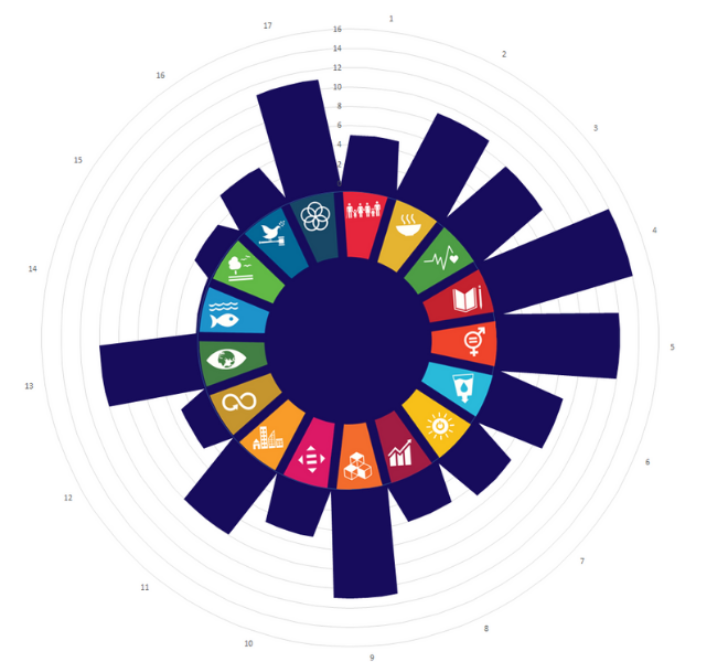 SDG rose diagram