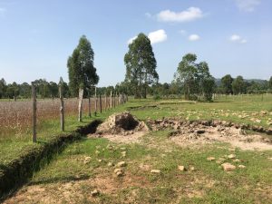 A fence divides lush grass from eroding land