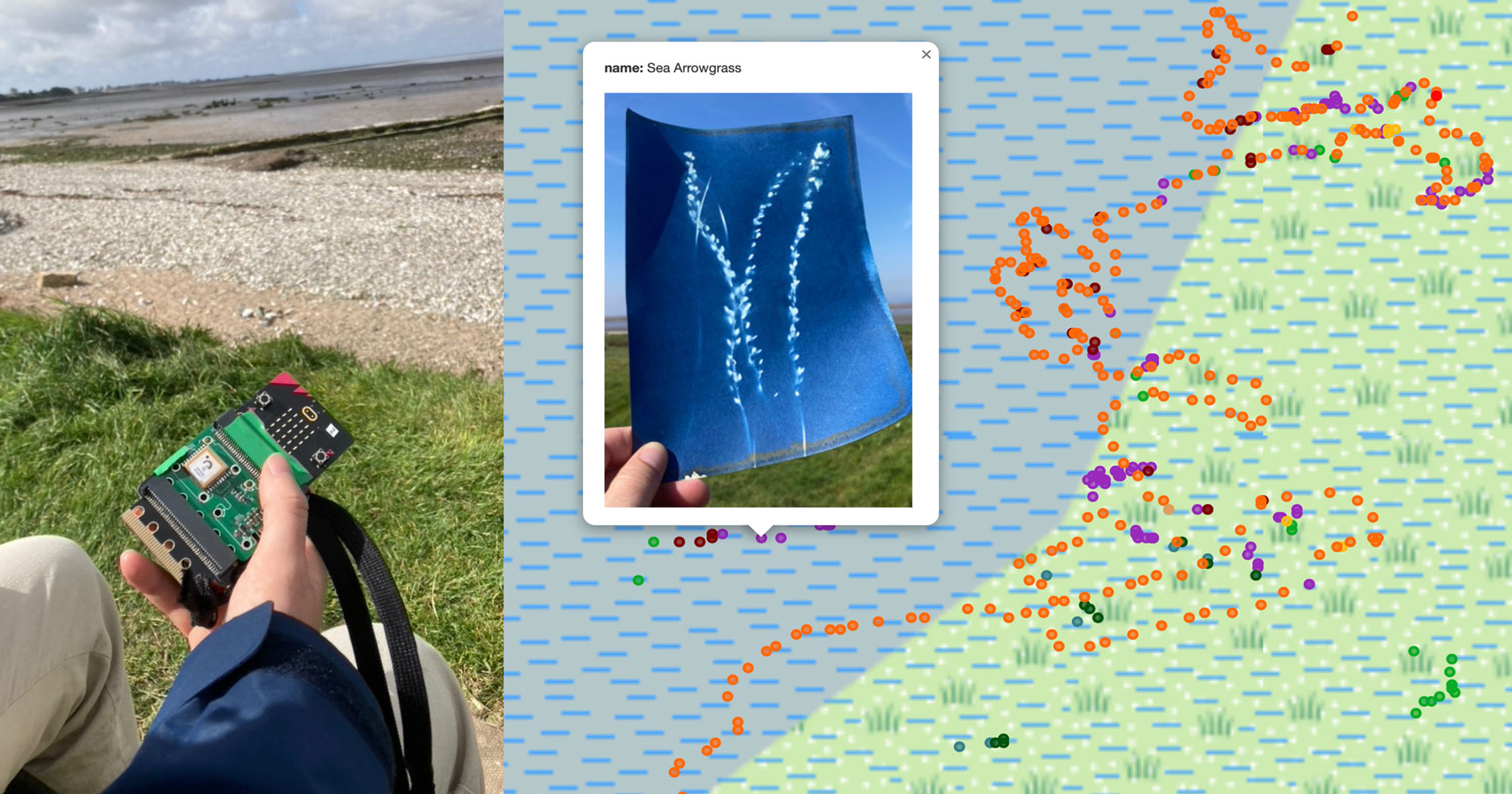Salt marsh monitoring and visualisation