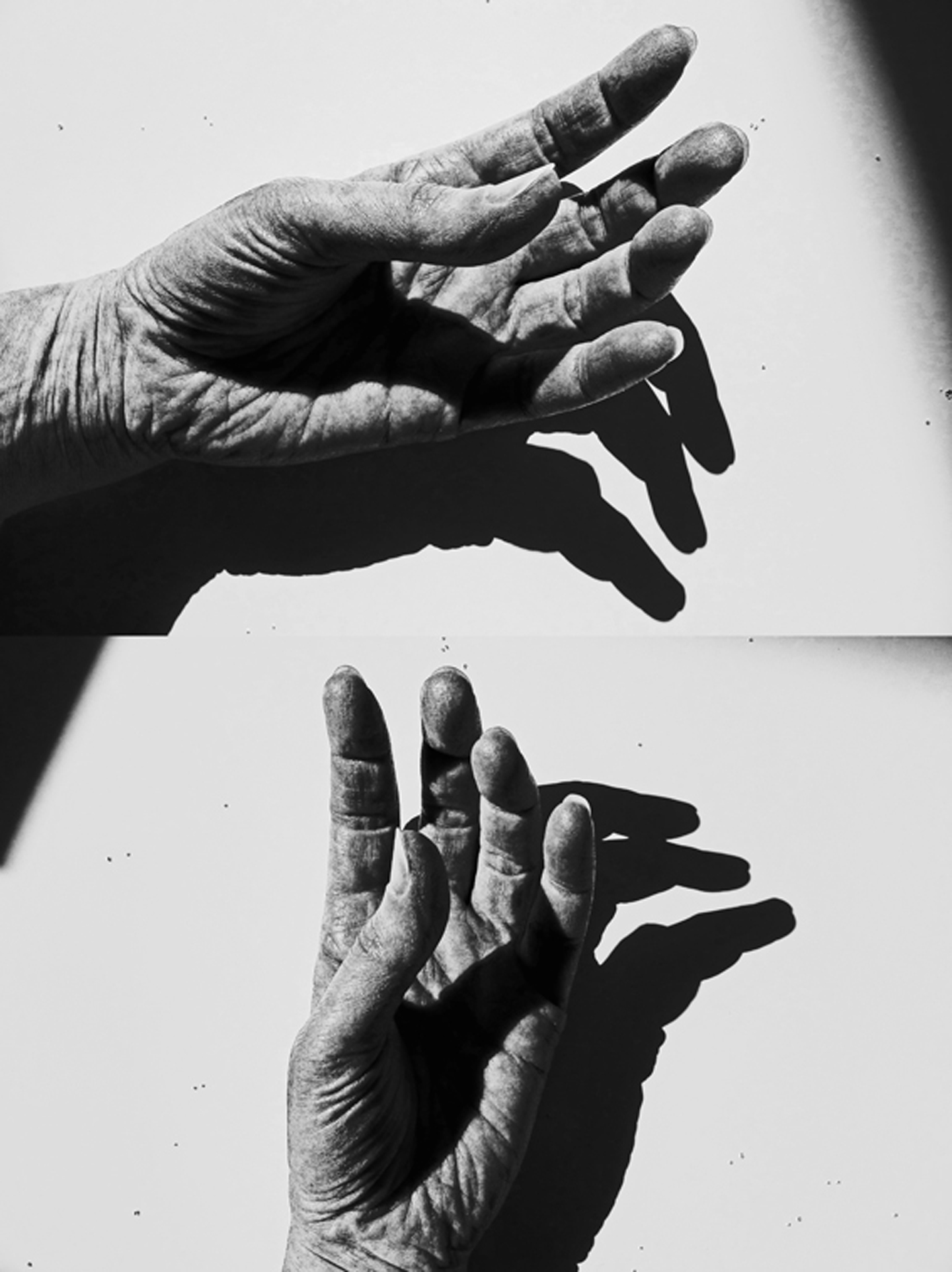 This image is a collage of two black and white photographs of a hand. The top half shows palm and slightly bent fingers horizontally, the bottom half vertically. The original was photographed in extreme light against white background, in order to achieve pronounced shadows. The latter appear more curved than the fingers themselves.