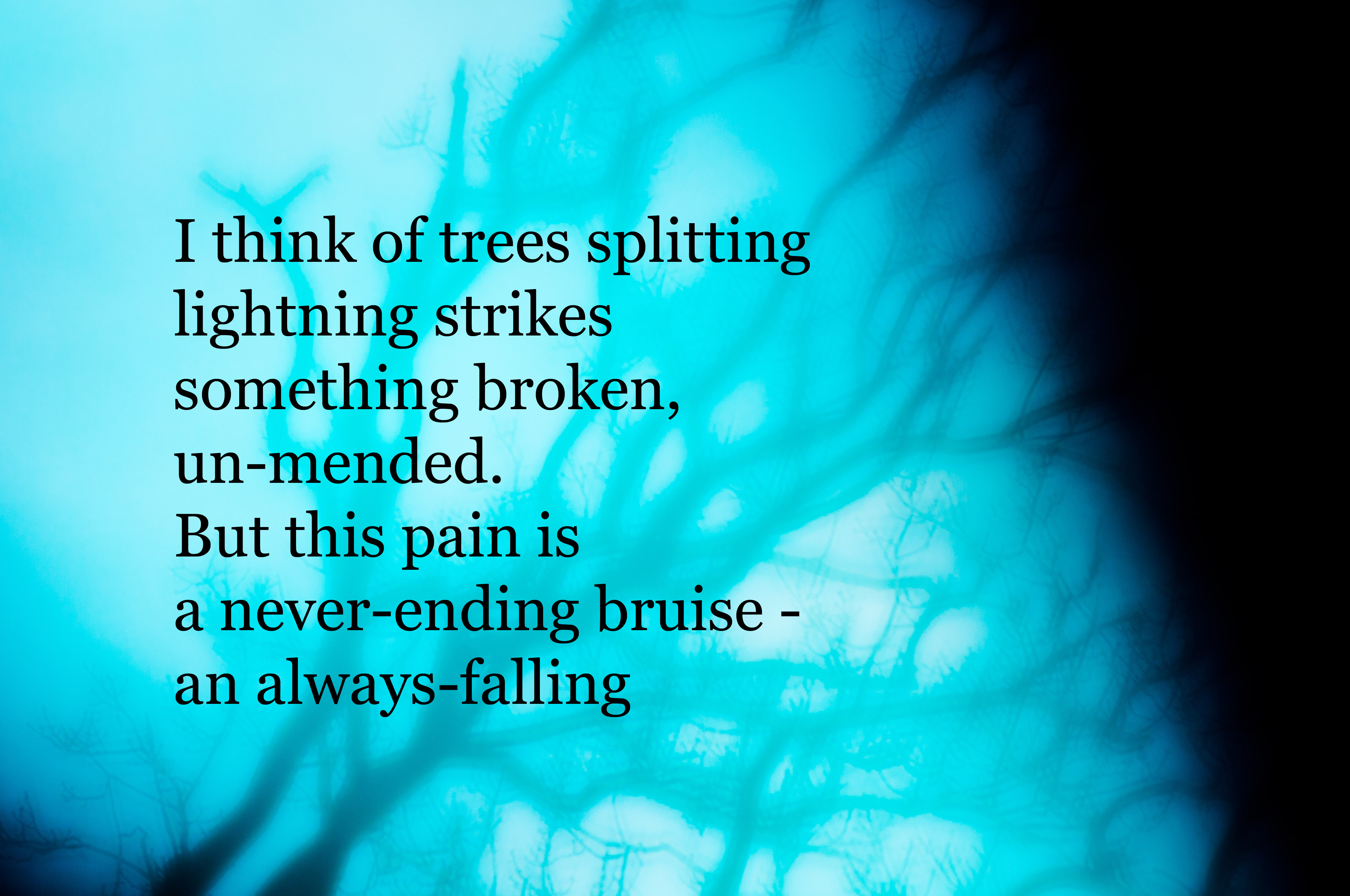 A blue-toned, blurry image of a leafless tree in shadow, over which is superimposed this short poem: ‘I think of trees splitting lightning strikes something broken, un-mended. But this pain is a never-ending bruise - an always-falling’