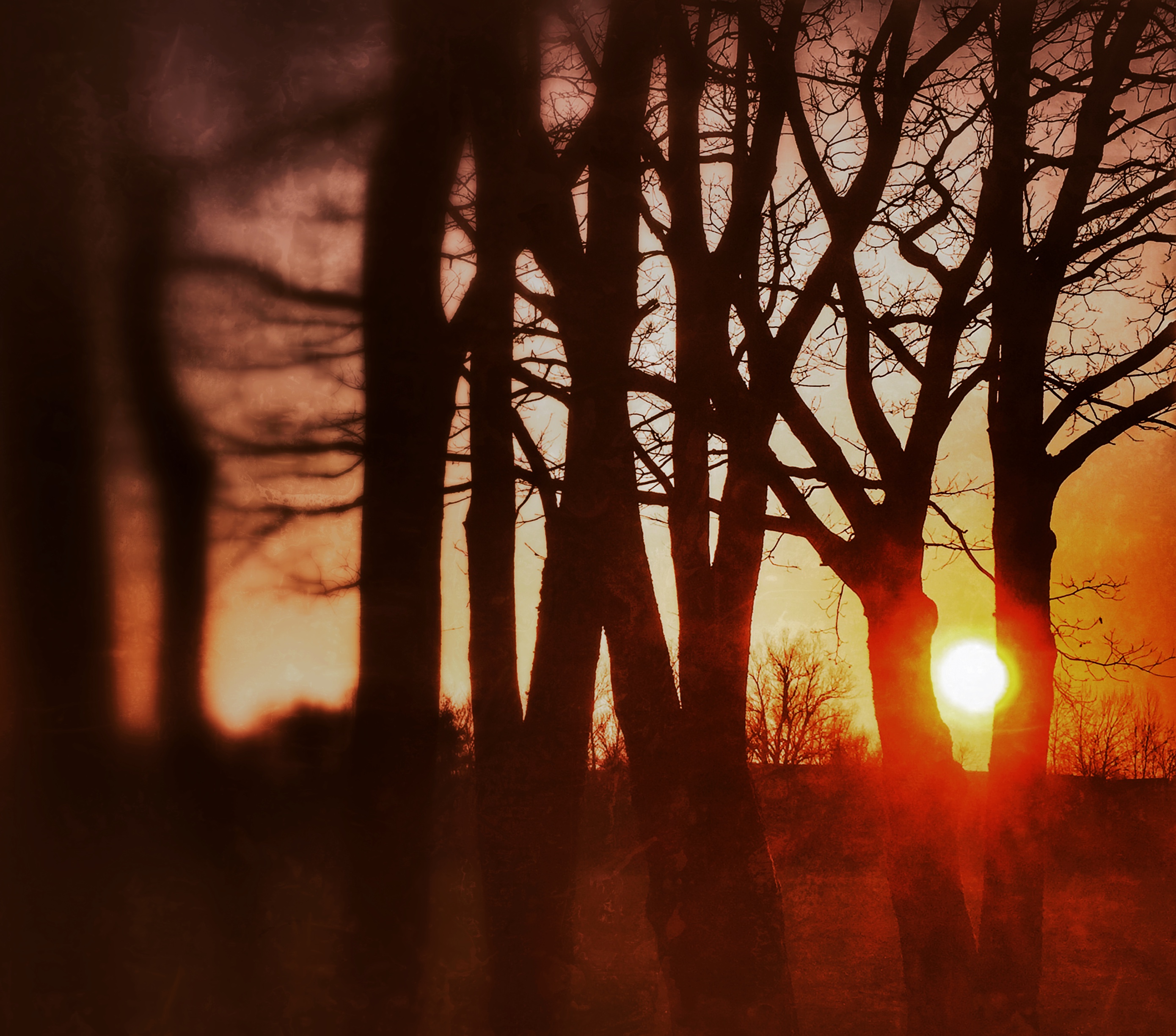 This picture symbolises hope (sun) in the midst of winter. Trees are like bones. 