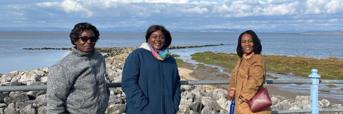 Commonwealth Professional Fellows complete their programmes