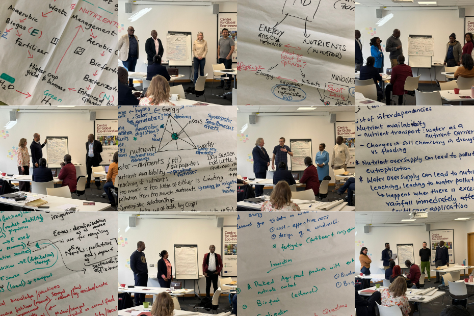 ARIP Workshop Day Two: Deepening Collaboration & Shaping Future Africa–EU Research Proposals