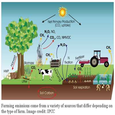 Reducing Agricultural Greenhouse Gas Emissions ‘RAGGE’ – Envision