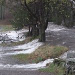 Flood water gushing over from stream passed row of trees onto bank