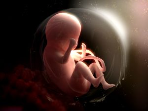 Fetus in a bubble