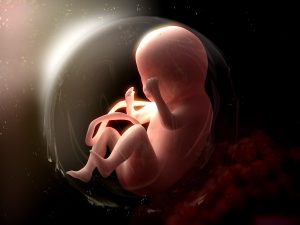 An illustration of a fetus in a bubble. 
