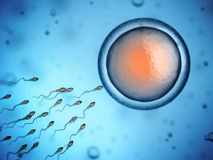 Human sperm swimming toward an egg. 