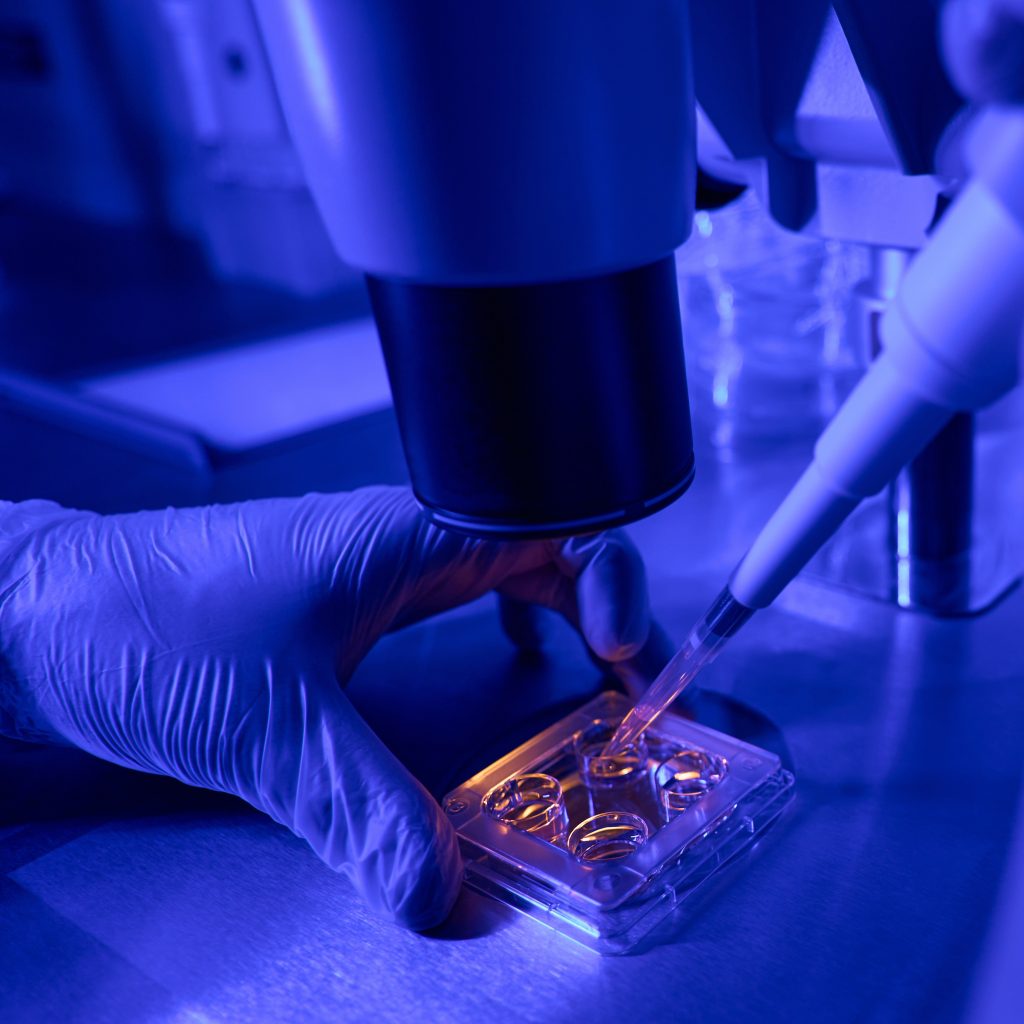 Embryo research in a laboratory.