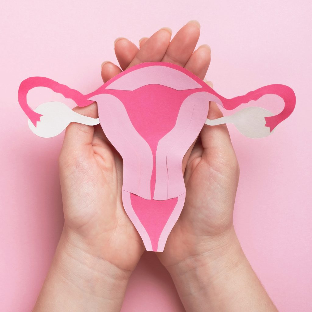 A paper cut out of a human uterus held in a pair of hands.