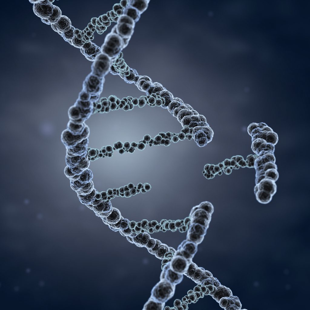 A DNA sequence with a section removed.