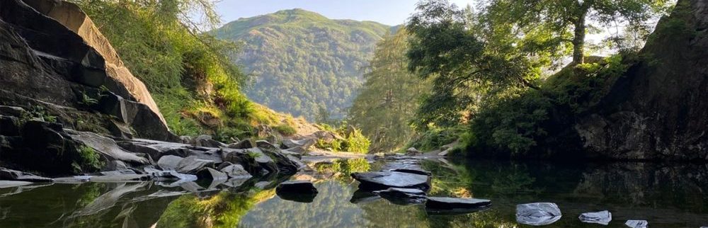 Lake District Workshop in Corporate Finance