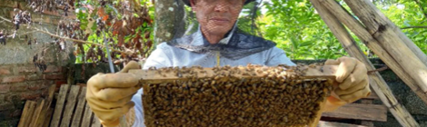 Tackling the UN’s Sustainable Development Goals through beekeeping