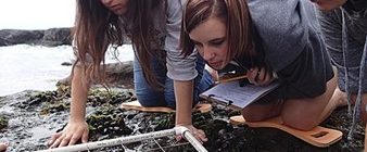 How Citizen Science can teach you something new and improve your mental health