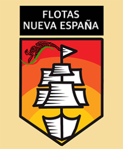 logo_NSF_español-250