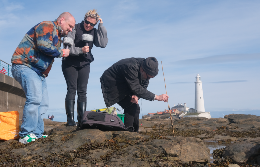 Three people on a rocky seashore with a white lighthouse in the background. Two of them peer into a rockpool (hidden) and speak into microphones, the third holds a small camera on a stick, filming in the pool.
