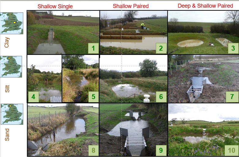 Pictures of small edge of field wetlands