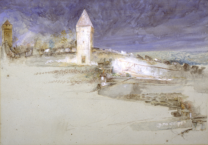 Ruskin s Ecology THE RUSKIN Museum Of The Near Future